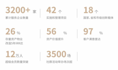 为何超3200家公司青睐蜜蜂科技BEEPLUS？探索如何打