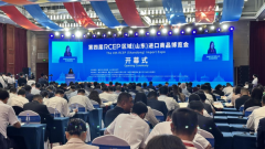 十载精筑 创见未来 | Kingsmen Real Estate Group引领柬